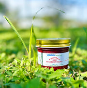 RAW CRANBERRY SAUCE